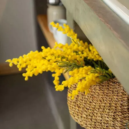 Prázdninový dům Olympian *