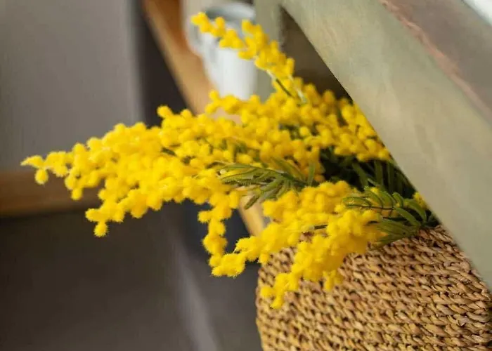 Case de vacanță Olympian *